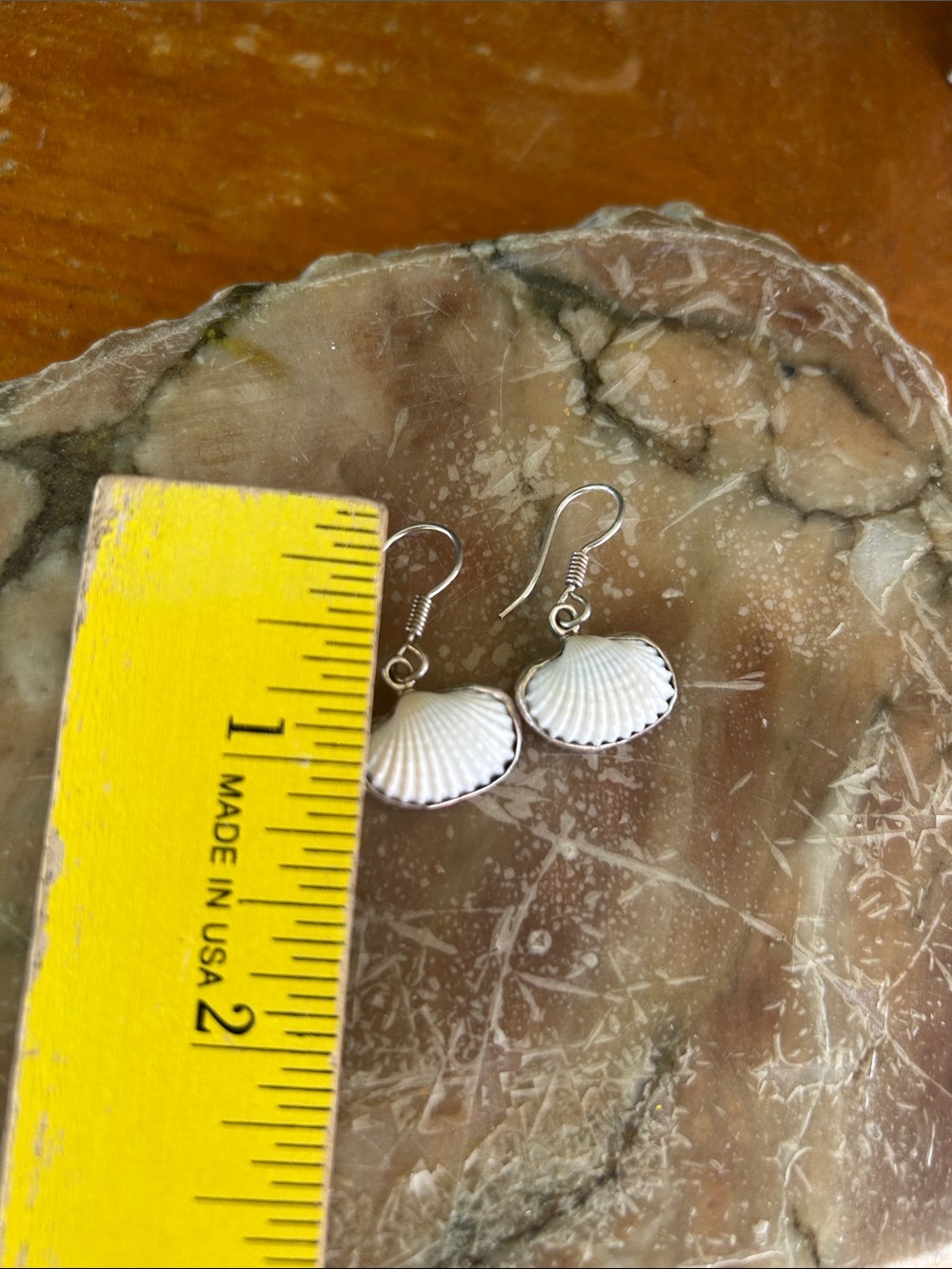 Vintage Ark Shell Drop Earrings - Picture 2 of 5